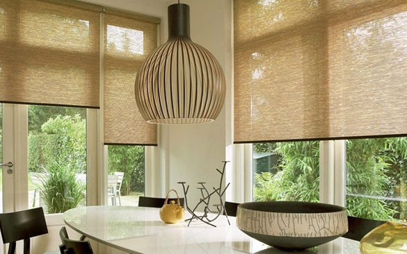 Vision Blinds